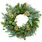Northlight Eucalyptus and Olive Leaf Twig Spring Wreath, 24-Inch